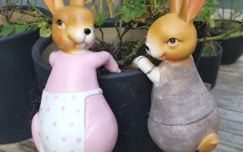 兔子青蛙情侣头像，求这个兔子的另外一个情侣